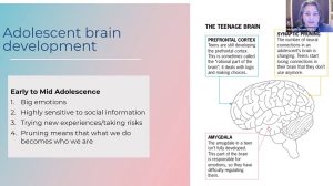 Graphic depicting the teen brain and other information